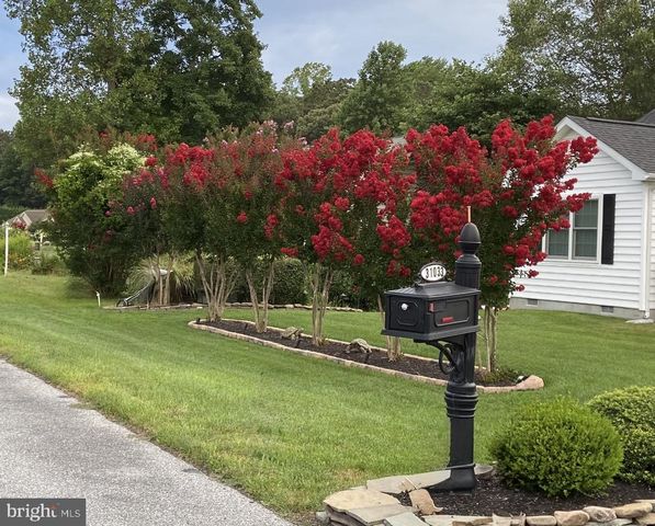 31033 MEADOW DR, Lewes, DE 19958