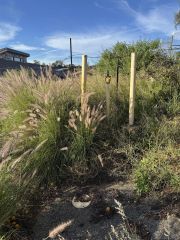 30421 Castle Crest 40, Valley Center, CA 92082