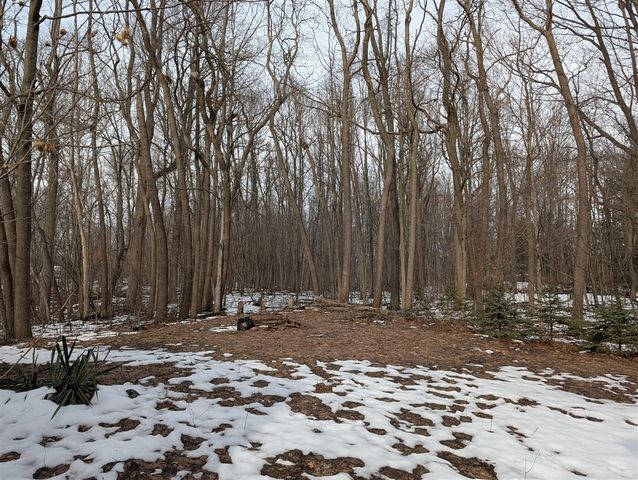 35516 Sweet Lake Drive, Gobles, MI 49055