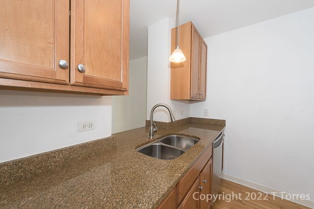 1160 S MICHIGAN Avenue 1406, Chicago, IL 60605