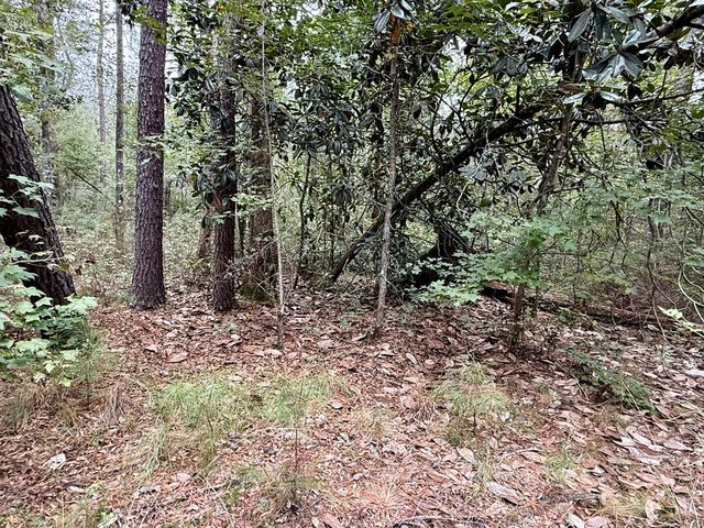 24 acres Mt Zion Road, Cottonwood, AL 36320