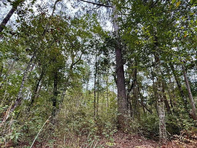 24 acres Mt Zion Road, Cottonwood, AL 36320