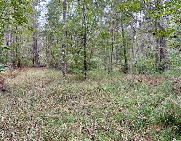 24 acres Mt Zion Road, Cottonwood, AL 36320
