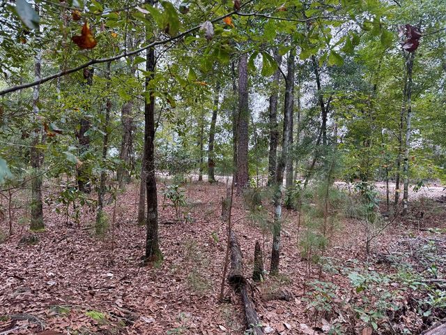 24 acres Mt Zion Road, Cottonwood, AL 36320