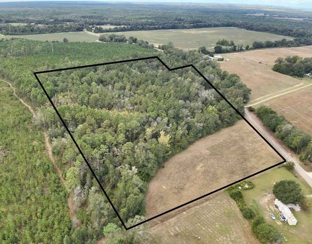 24 acres Mt Zion Road, Cottonwood, AL 36320