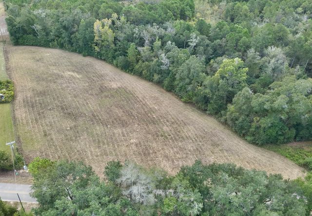 24 acres Mt Zion Road, Cottonwood, AL 36320