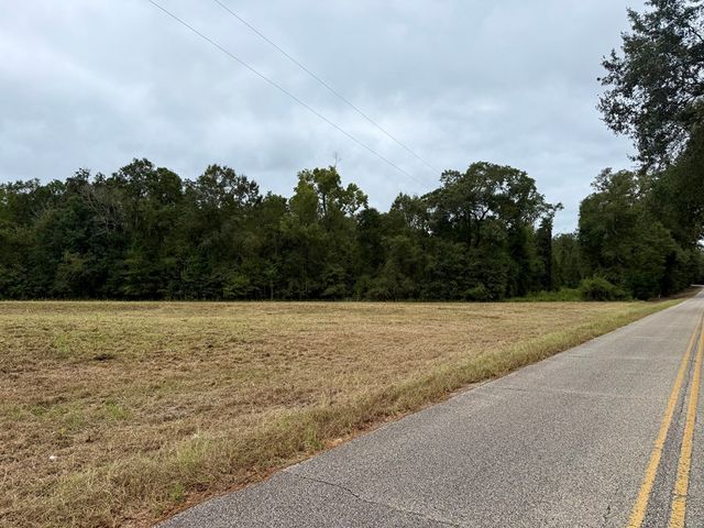 24 acres Mt Zion Road, Cottonwood, AL 36320