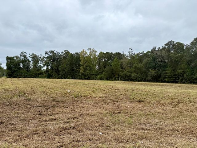 24 acres Mt Zion Road, Cottonwood, AL 36320
