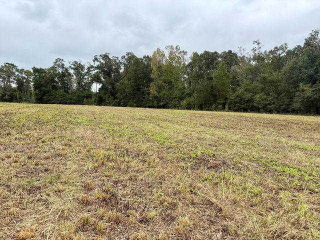 24 acres Mt Zion Road, Cottonwood, AL 36320