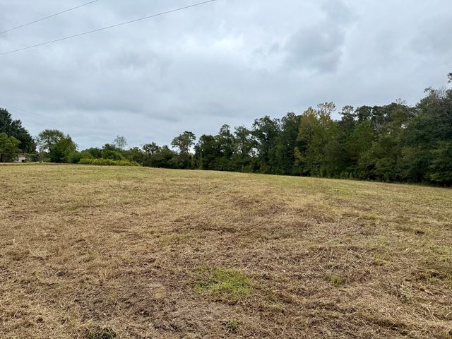 24 acres Mt Zion Road, Cottonwood, AL 36320
