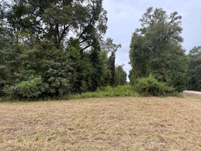 24 acres Mt Zion Road, Cottonwood, AL 36320