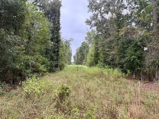 24 acres Mt Zion Road, Cottonwood, AL 36320