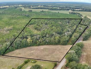 24 acres Mt Zion Road, Cottonwood, AL 36320