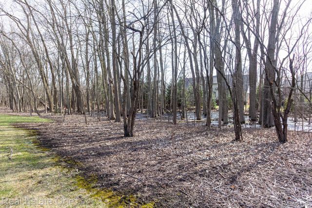 3585 Winding Brook Circle 89, Rochester Hills, MI 48309