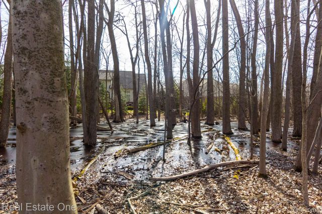 3585 Winding Brook Circle 89, Rochester Hills, MI 48309