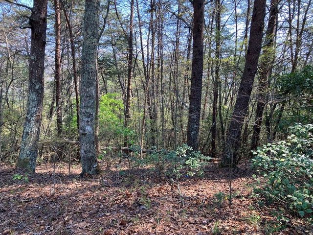 325 Ponderosa Drive, Murphy, NC 28906