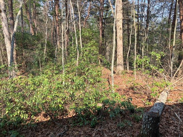325 Ponderosa Drive, Murphy, NC 28906