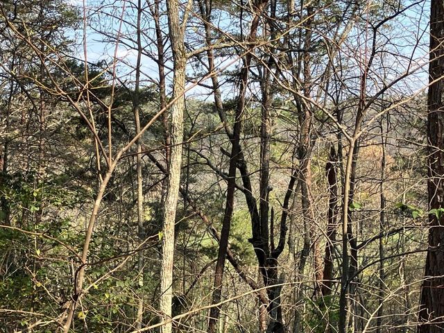 325 Ponderosa Drive, Murphy, NC 28906