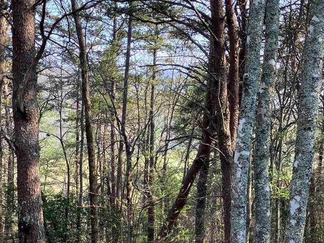 325 Ponderosa Drive, Murphy, NC 28906