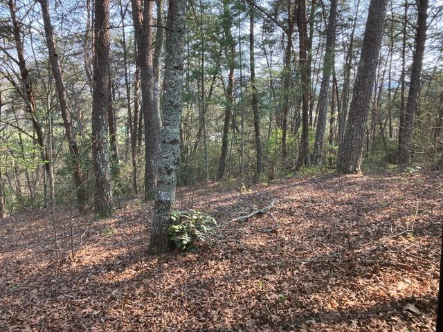 325 Ponderosa Drive, Murphy, NC 28906