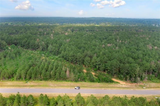 15899 Wood Grove Way, Willis, TX 77378