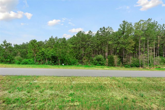 15899 Wood Grove Way, Willis, TX 77378
