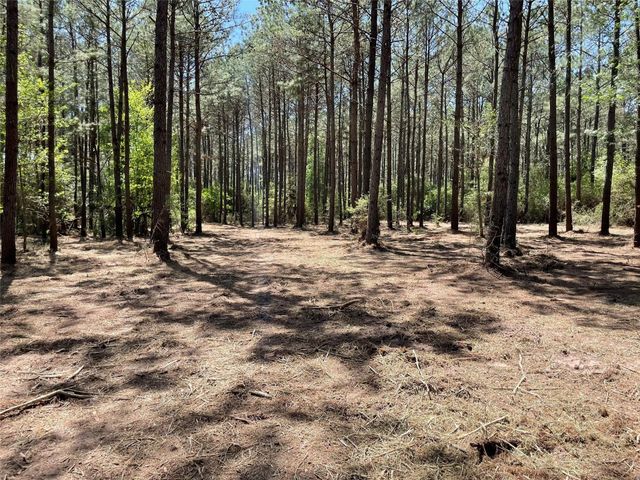15899 Wood Grove Way, Willis, TX 77378