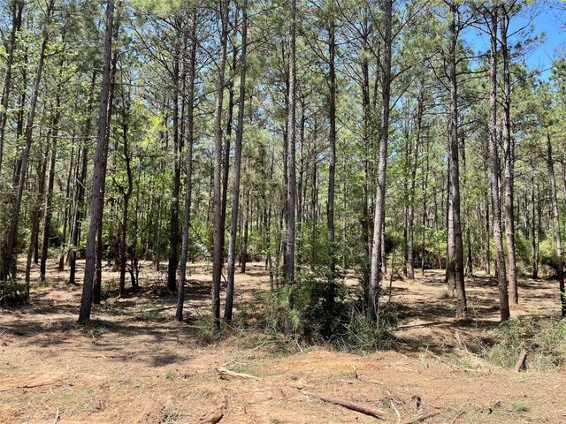 15899 Wood Grove Way, Willis, TX 77378