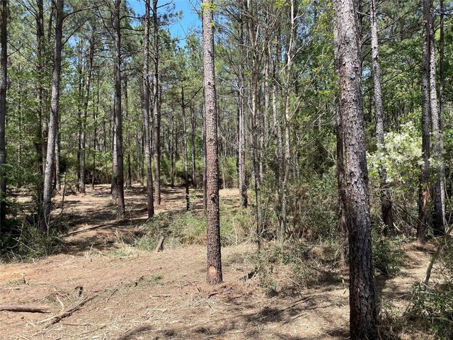 15899 Wood Grove Way, Willis, TX 77378