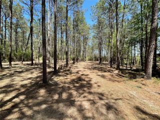 15899 Wood Grove Way, Willis, TX 77378