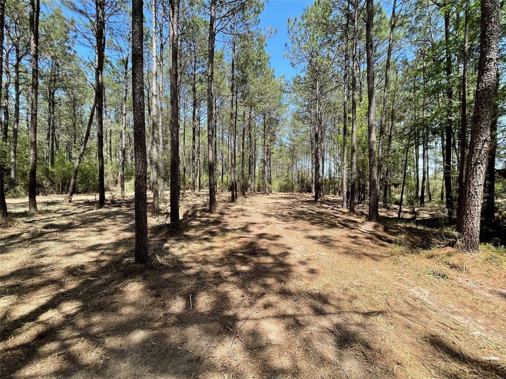 15899 Wood Grove Way, Willis, TX 77378