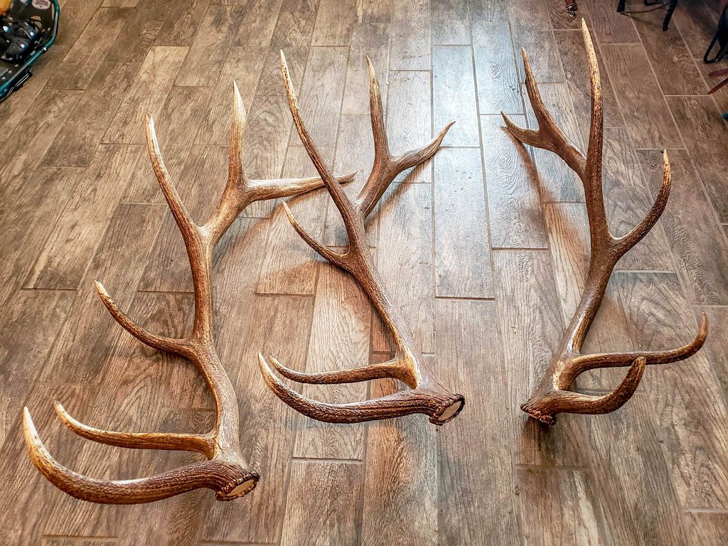 5 Alpine Valley Lane, Clancy, MT 59634 photo 109