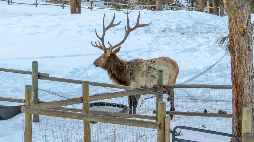 5 Alpine Valley Lane, Clancy, MT 59634 photo 111