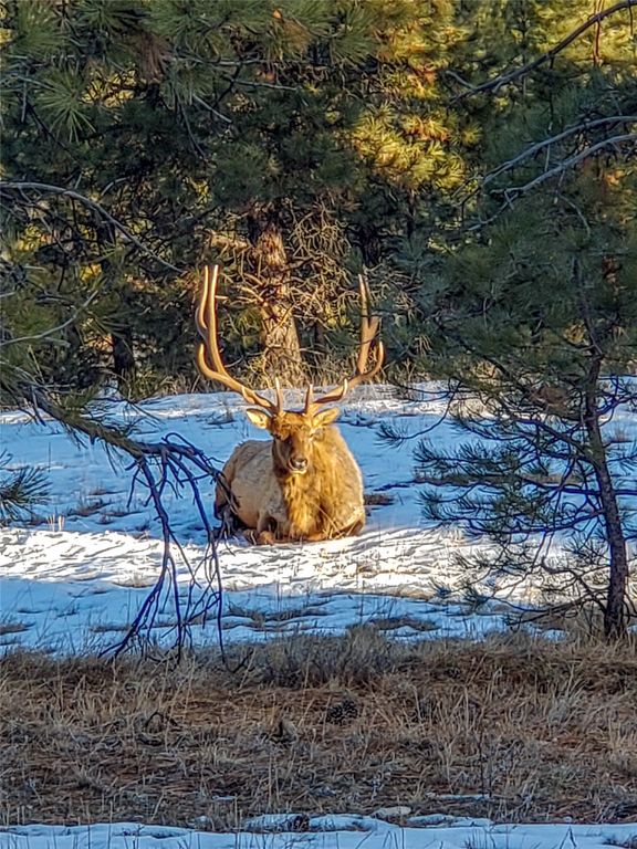 5 Alpine Valley Lane, Clancy, MT 59634 photo 114