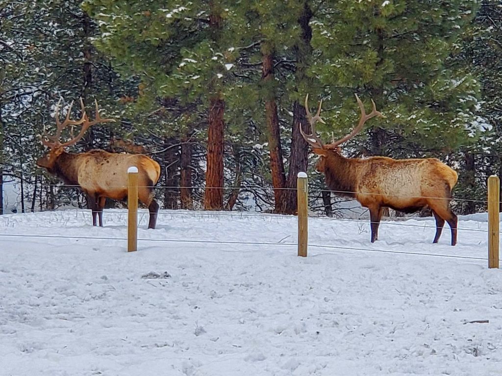 5 Alpine Valley Lane, Clancy, MT 59634 photo 81