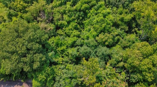 0 Williamson Circle, Smithville, TN 37166