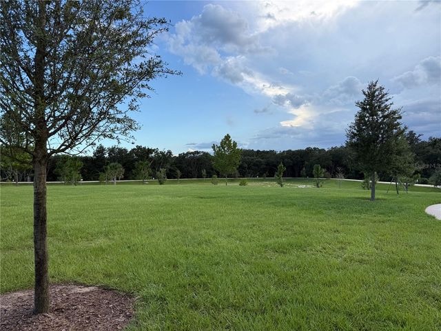 4466 DAVOS DRIVE, Clermont, FL 34711