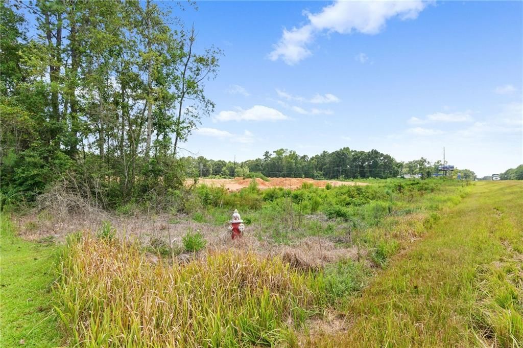 19100 Highway 43, Mount Vernon, AL 36560 — photo 2