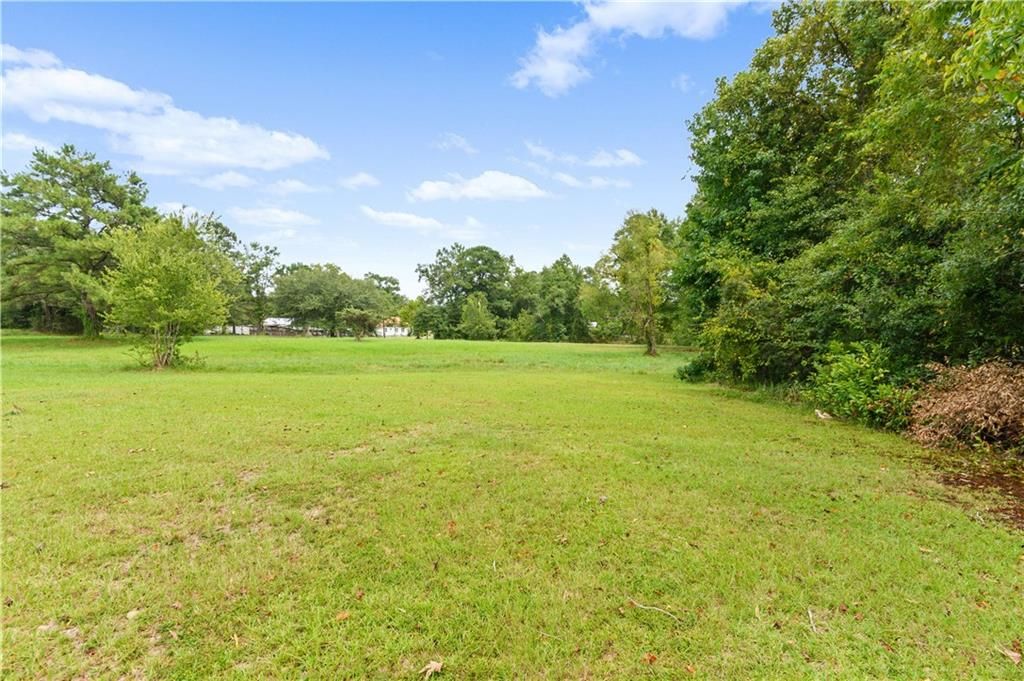 19100 Highway 43, Mount Vernon, AL 36560 — photo 3