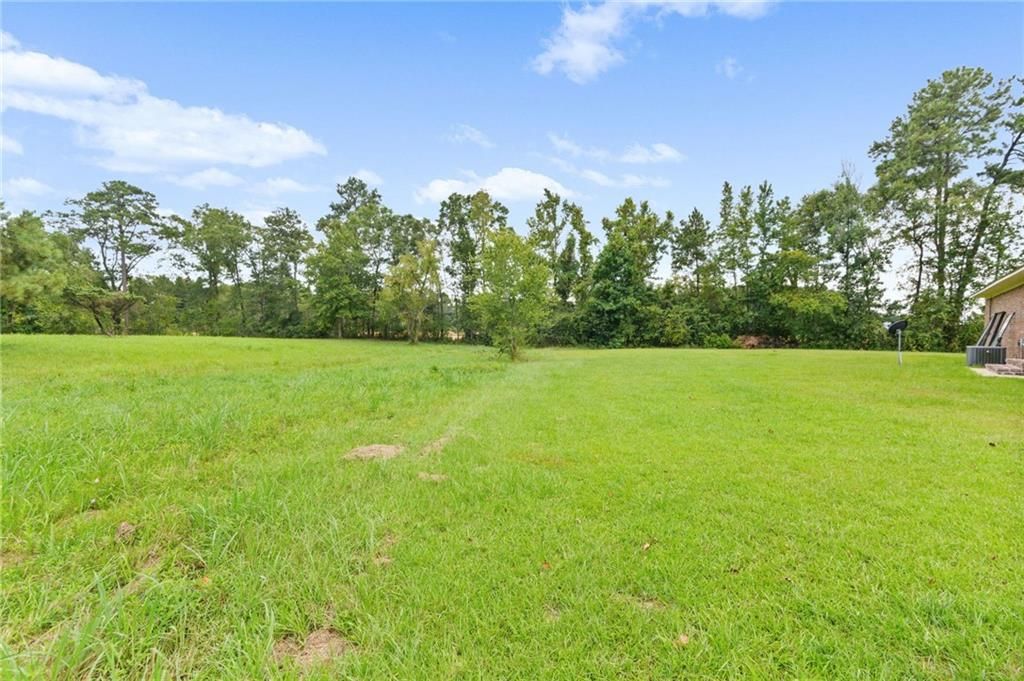 19100 Highway 43, Mount Vernon, AL 36560 — photo 5
