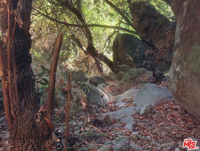 0 Vulcan Lane, Topanga, CA 90290