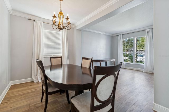 20227 STILL WIND DRIVE, Tampa, FL 33647