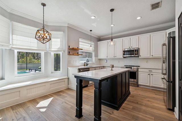 20227 STILL WIND DRIVE, Tampa, FL 33647