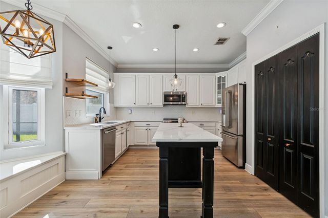 20227 STILL WIND DRIVE, Tampa, FL 33647