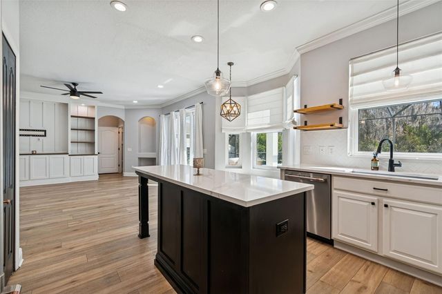 20227 STILL WIND DRIVE, Tampa, FL 33647