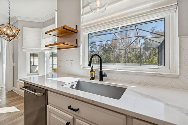 20227 STILL WIND DRIVE, Tampa, FL 33647