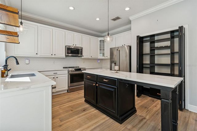 20227 STILL WIND DRIVE, Tampa, FL 33647