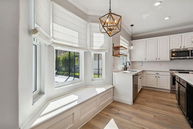 20227 STILL WIND DRIVE, Tampa, FL 33647