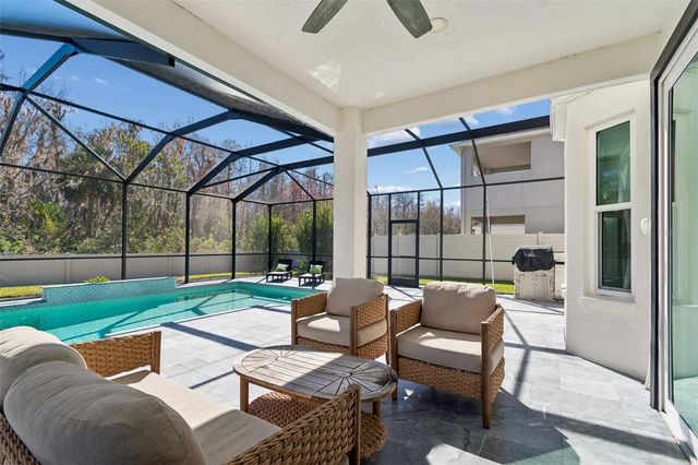 20227 STILL WIND DRIVE, Tampa, FL 33647