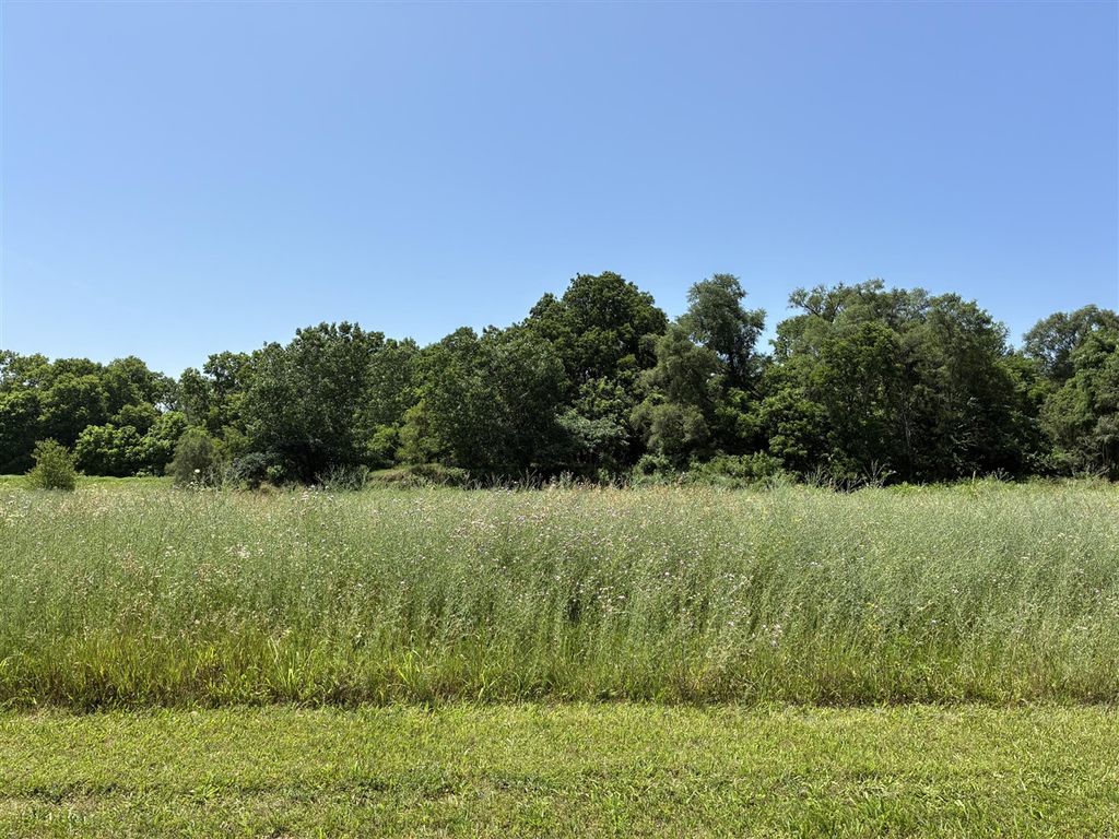 256 Van Bruggen Street, Galesburg, MI 49053